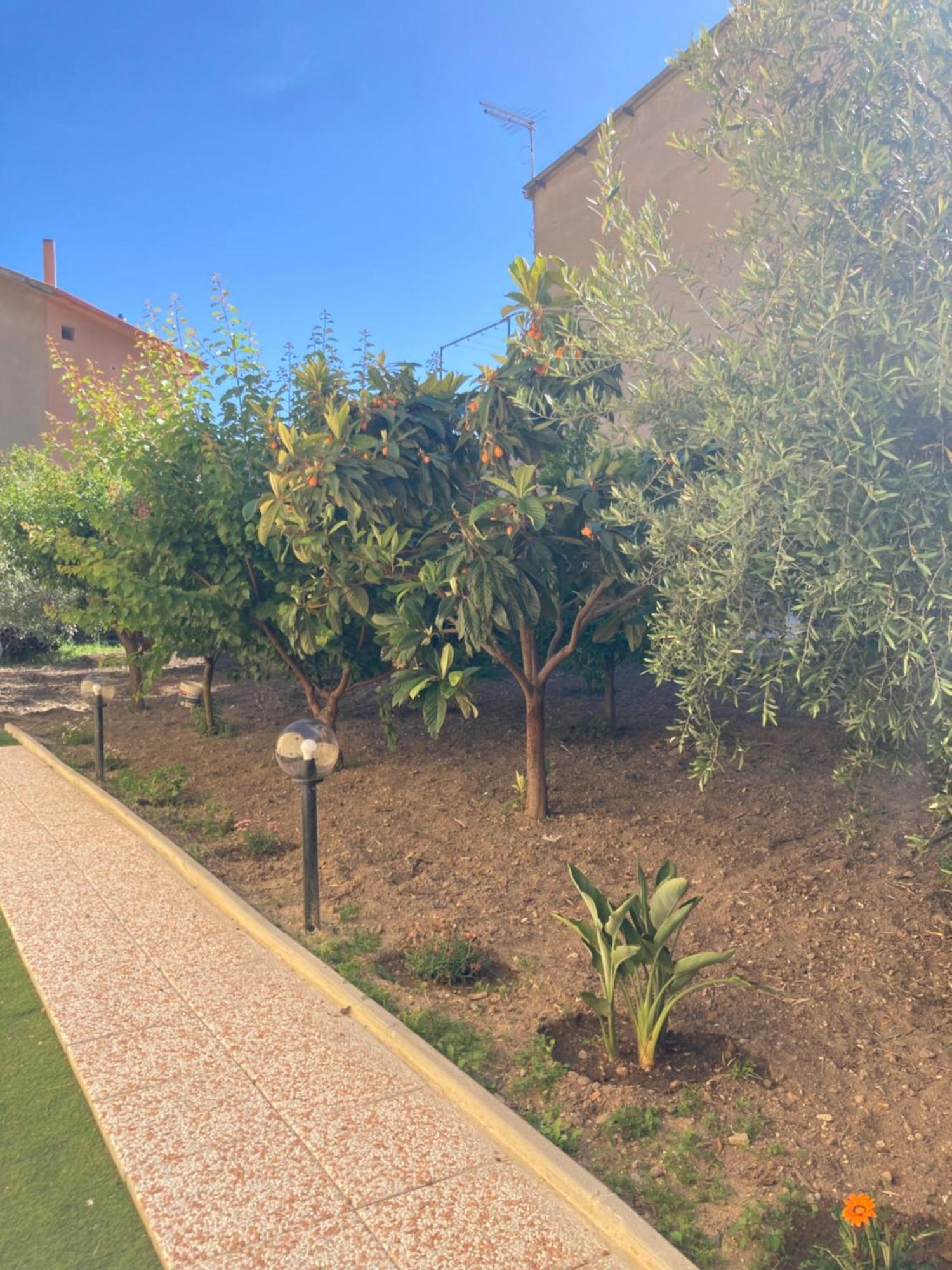 Villamassargia Casa Vacanze Il Giardino מראה חיצוני תמונה